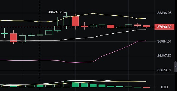 比特币市场现聪明钱身影：长期投资者悄然布局暗藏玄机